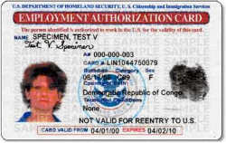 Employment Authorization Card