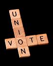 Union vote2.JPG