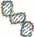 DNA_double_helix_45-thumb-75x75-240.png