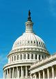 United_States_Capitol_dome_daylight.jpg