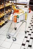 grocery cart2.JPG