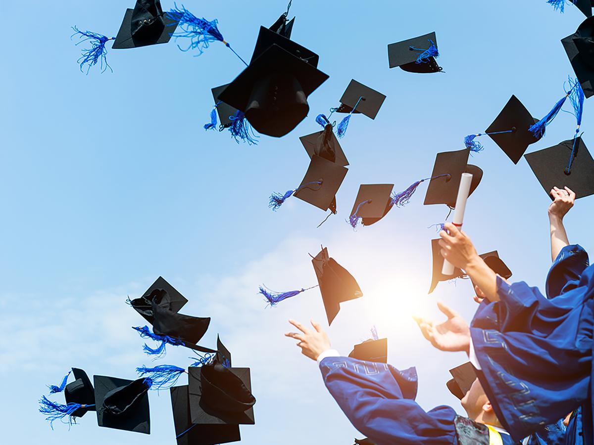Higher Education