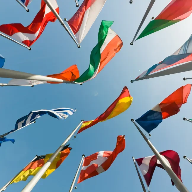 View looking up at a collection of world flags on flagpoles